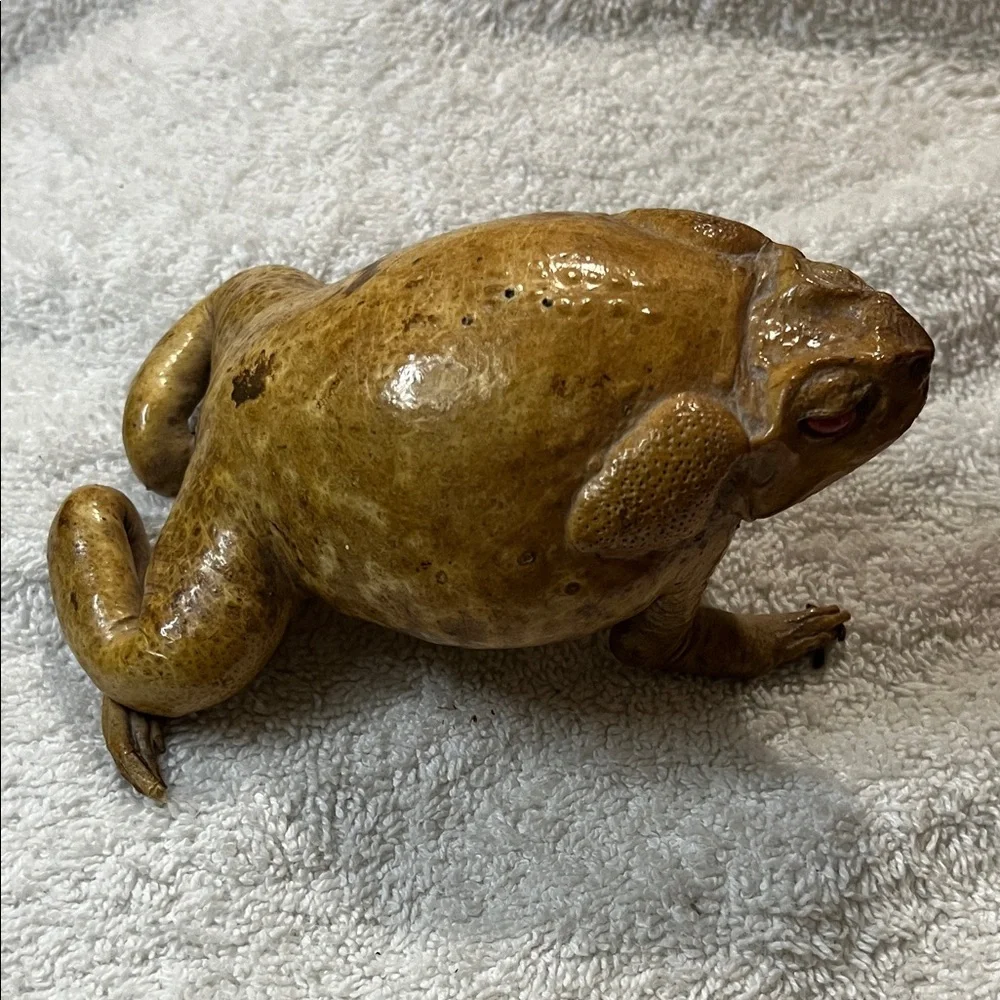 Realistic Brown Toad Ornament for Reptile Enclosures